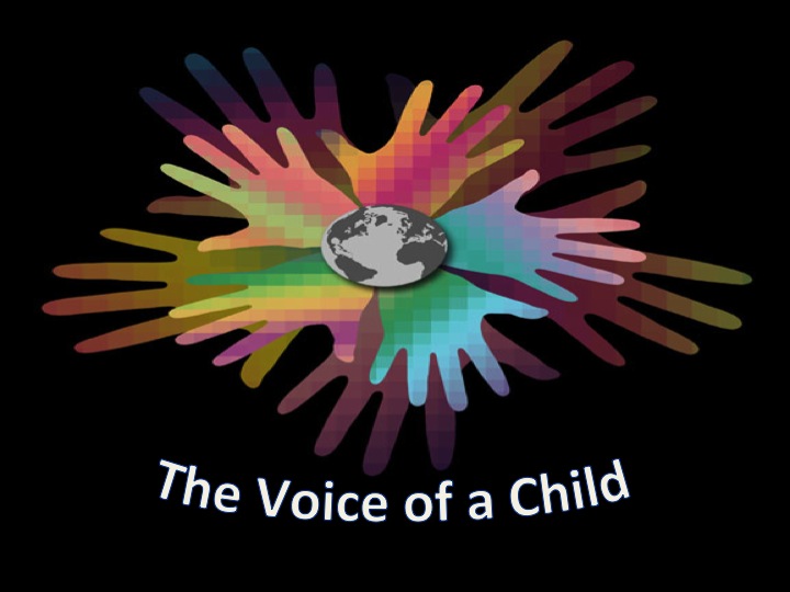 What is the Role of a Guardian Ad Litem in Child Related Issues?