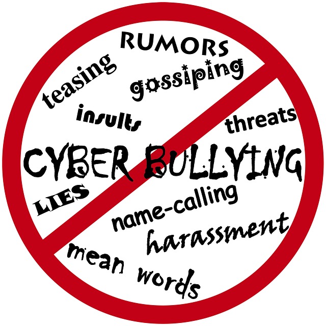 Cyberbullying and Kids: What is it?